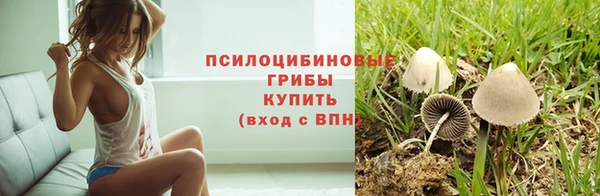 тгк Волгодонск