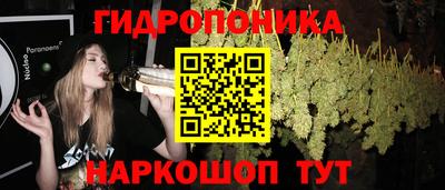 гидра Абакан