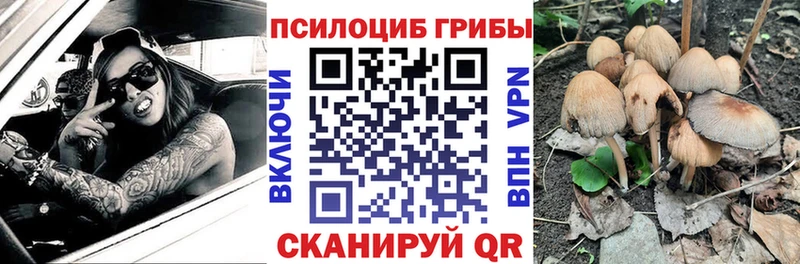 blacksprut маркетплейс  Амурск  Галлюциногенные грибы GOLDEN TEACHER 