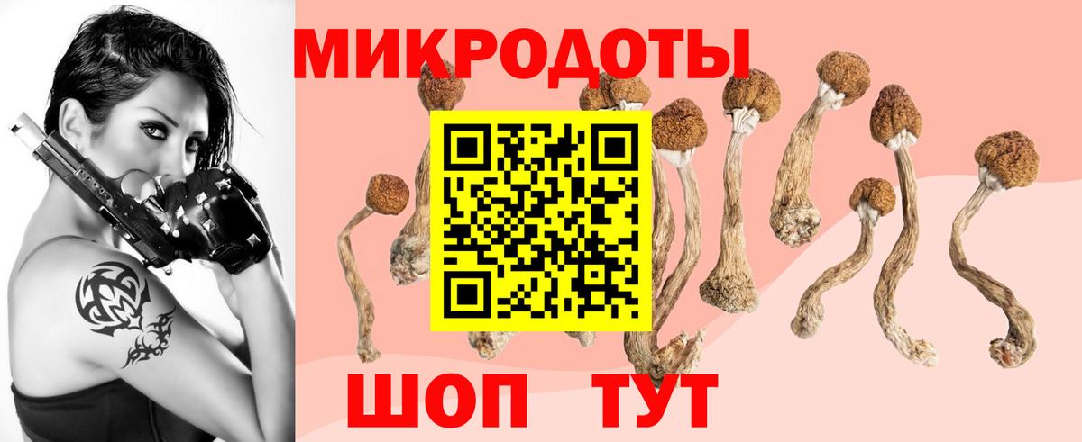 Амурск  Галлюциногенные грибы Psilocybine cubensis  Вход с VPN  Псилоцибиновые грибы MAGIC MUSHROOMS 